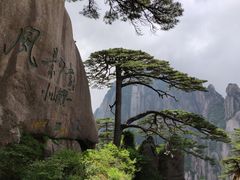 -黄山风景区