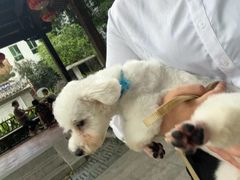 -格蕾宠物医院24H·猫科·肿瘤科·骨科中心(福州总院)