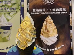-澳门威尼斯人综合度假区