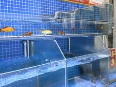 -上庄晋风庄园(上庄店)