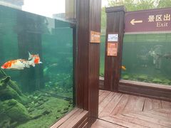 -宁波杭州湾国家湿地公园