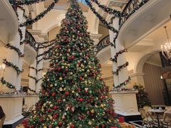 -Salon de Ville浦江汇(上海外滩华尔道夫酒店店)