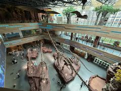 -安徽省地质博物馆