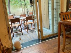 -懒鱼时光馆(沙坪坝店)