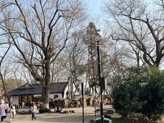-虞山风景区