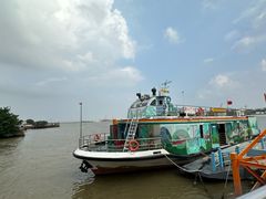 -鱼珠码头(轮渡站)