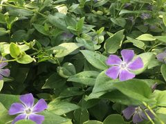 -白塘生态植物园