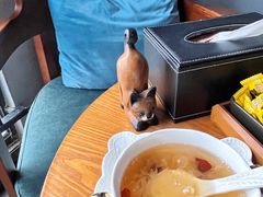 -梵猫·新养生(湛江鼎盛店)