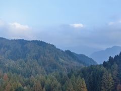-山王坪喀斯特国家生态公园