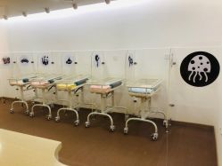 -海豚湾高端月子会所(黄浦店)