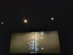 -AMG海上明珠影城(上海环球港RealDCinema店)