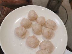 鱼肉丸-正能量脆肉鲩火锅