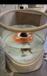 -弗蕾亚·和月月子调理院(东湖店)