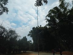 -云南勐巴娜西珍奇园