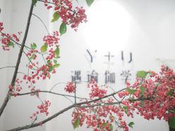 -Y+U遇瑜伽·普拉提