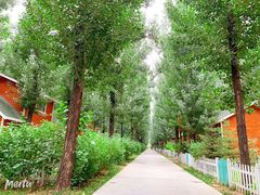 -林栖谷森林康养度假区