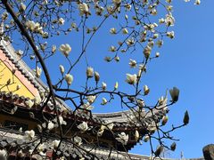 -龙华寺
