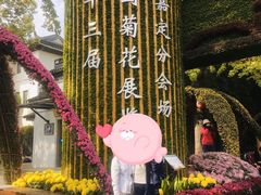 -汇龙潭