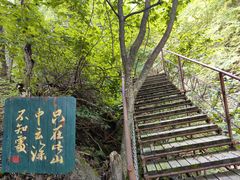 -龙道沟景区