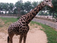 -石家庄市动物园