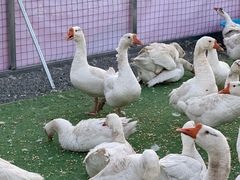 -辛庄国际文化艺术区