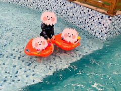 -南宫温泉水世界