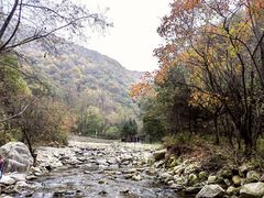 -少华山国家森林公园