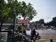 -洪记白水羊头(天坛店)