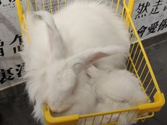 -成都失恋馆