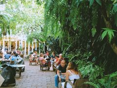 大堂-Fern Forest Cafe