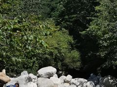 -陕西省红河谷森林公园