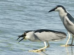 -水上明月·湖景餐厅