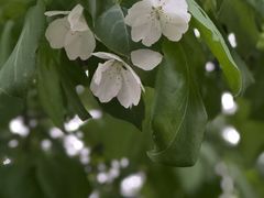 -三姐妹餐厅(曲江店)
