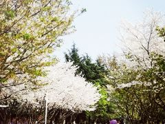 -白塘生态植物园
