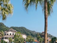 -重庆海昌加勒比海水世界