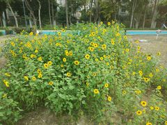 -怡海公园(桂城街道)