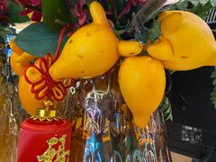 -南京禄口机场雅高铂尔曼大酒店