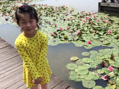 -溱湖国家湿地公园