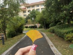 -幸福湖国际会议中心