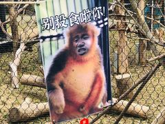 -武汉动物园