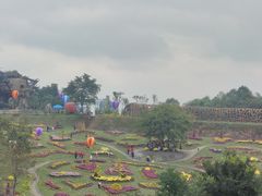 -都江堰玫瑰花溪谷