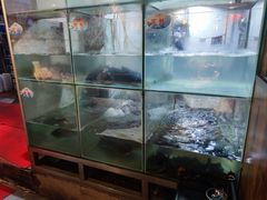 -蛙鱼道美蛙鱼自助火锅(新耍都店)