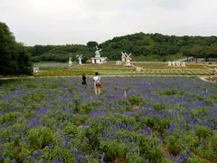 -松山湖梦幻百花洲