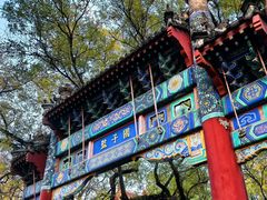 -北京国子监胡同