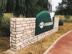 -羊亭河湿地公园