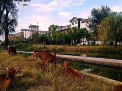-观唐（国际）度假村温泉