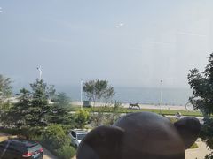 -了不起的考拉咖啡店(高新店)