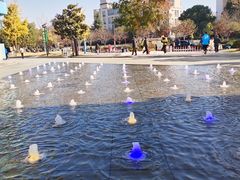 -浦江城市生活广场(江月路店)