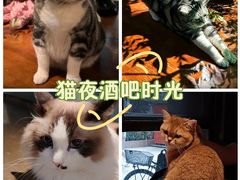 -咖法森林·咖啡  酒吧(天河店)