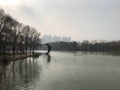 -昆山城市生态森林公园